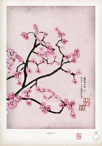 Cherry Blossom Print - Sakura VII by Tony Fernandes